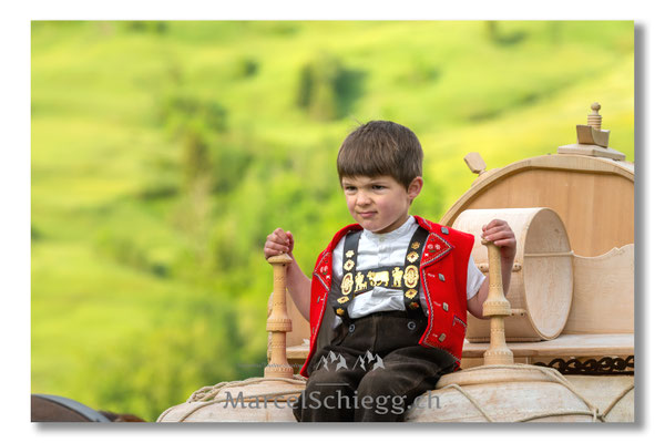 Marcel Schiegg Fotografie, Tradition, Brauchtum, Alpfahrt, Oeberefahre, Appenzell, Appenzellerland, Öberefahre, Lediwagen, Senntum