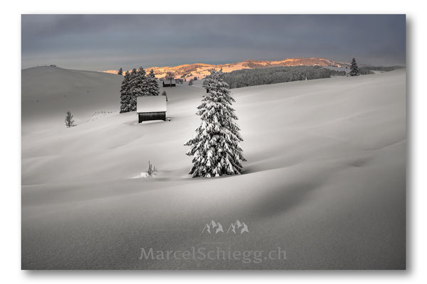 Appenzellerland/Winterimpressionen Art.-Nr. MS5-6762-Januar