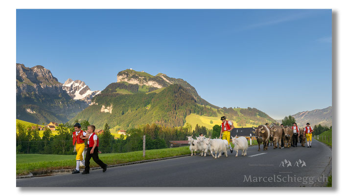 Marcel Schiegg Fotografie, Tradition, Brauchtum, Alpfahrt, Oeberefahre, Appenzell, Appenzellerland, Öberefahre, Alpstein