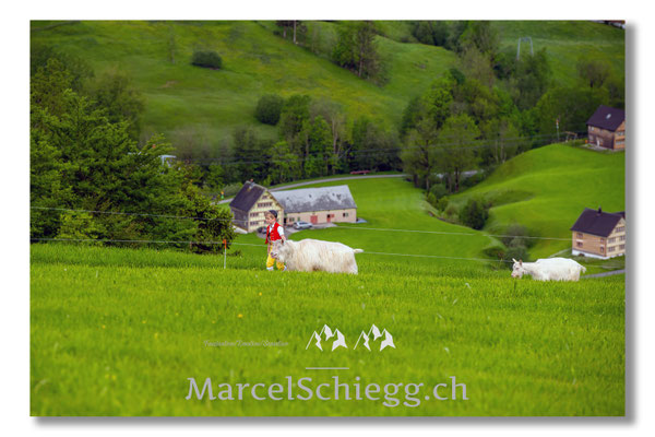 Marcel Schiegg Fotografie, Tradition, Brauchtum, Alpfahrt, Oeberefahre, Appenzell, Appenzellerland, Öberefahre, Alpstein