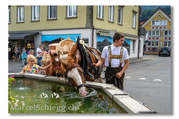 Marcel Schiegg Fotografie, Tradition, Brauchtum, Alpfahrt, Oeberefahre, Appenzell, Appenzellerland, Öberefahre, Hauptgasse, Lediwagen