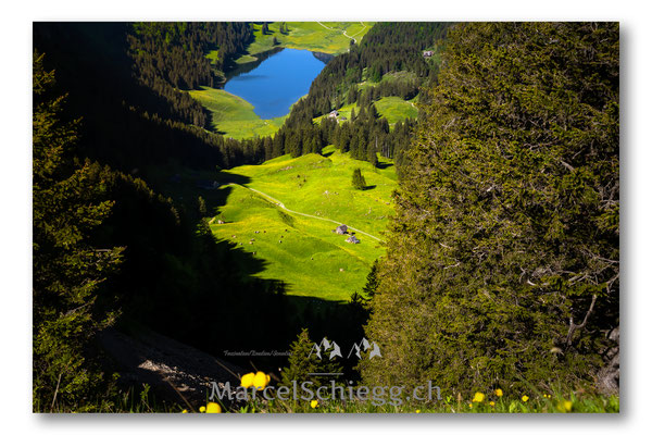 Sämtisersee Art.-Nr. MZ7-8013/21