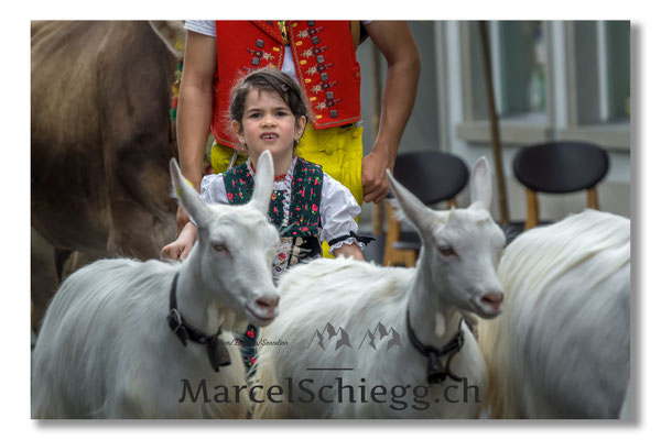 Marcel Schiegg Fotografie, Tradition, Brauchtum, Alpfahrt, Oeberefahre, Appenzell