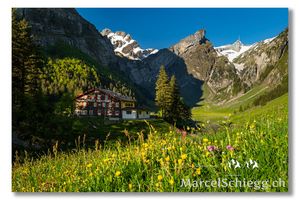 Seealpsee Art.-Nr. MZ7-9710