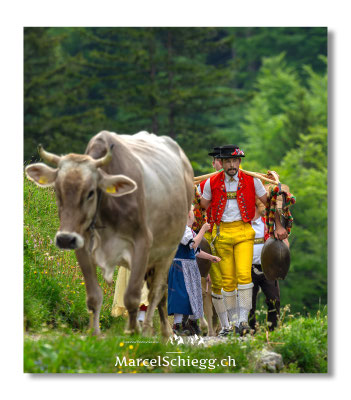 Öberefahre/Alpfahrt Art.-Nr. MZ8-3104/25