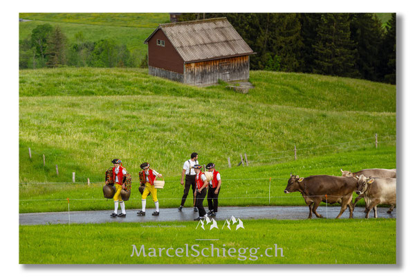 Marcel Schiegg Fotografie, Tradition, Brauchtum, Alpfahrt, Oeberefahre, Appenzell, Appenzellerland, Öberefahre, Alpstein