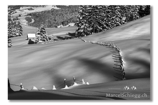 Alpstein/Winterimpressionen Art.-Nr. MS8-5282