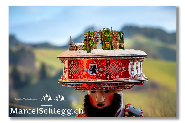 Silversterchlausen Art.-Nr. DSC-2571