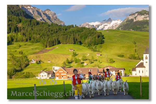 Marcel Schiegg Fotografie, Tradition, Brauchtum, Alpfahrt, Oeberefahre, Appenzell, Appenzellerland, Öberefahre, Alpstein