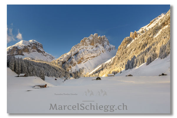 Alpstein/Winterimpressionen Art.-Nr. MS5-8721