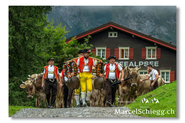 Öberefahre/Alpfahrt Art.-Nr. MZ8-8206/25