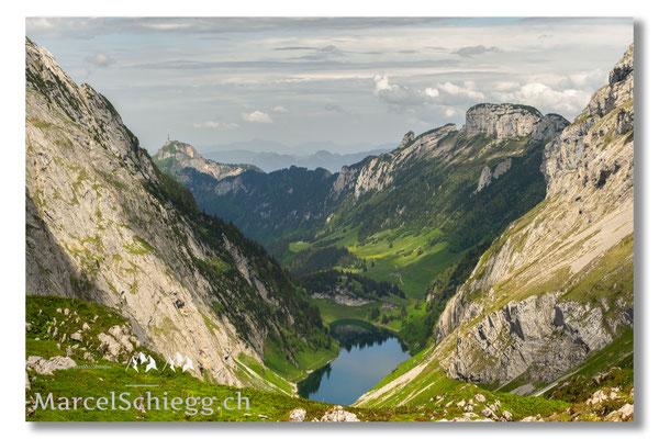Marcel Schiegg Fotografie, Marcel Schiegg, Faehlensee, Fählensee, Bollenwees, Alpstein