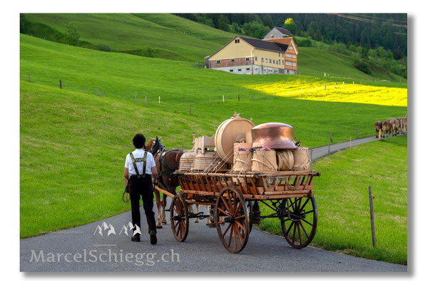 Marcel Schiegg Fotografie, Tradition, Brauchtum, Alpfahrt, Oeberefahre, Appenzell, Appenzellerland, Öberefahre, Lediwagen