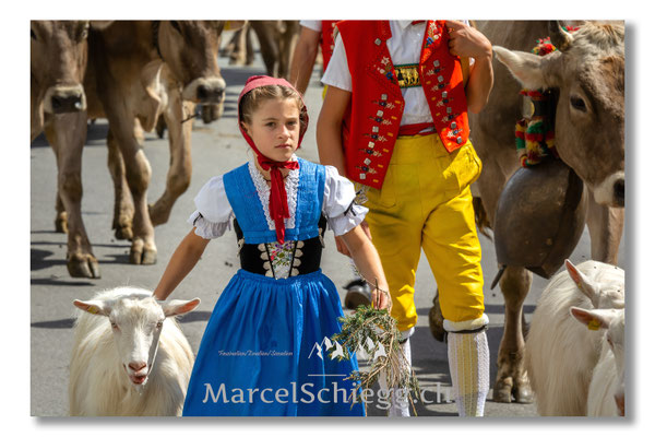 Marcel Schiegg Fotografie, Tradition, Brauchtum, Alpfahrt, Oeberefahre, Appenzell, Appenzellerland, Öberefahre
