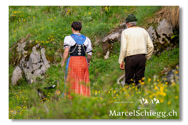 Marcel Schiegg Fotografie, Seealp, Alpstein, Tradition, Brauchtum, Alpfahrt, Oeberefahre, Appenzell