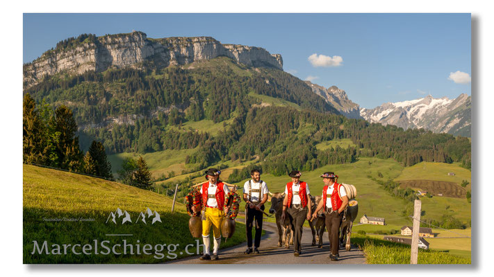 Marcel Schiegg Fotografie, Tradition, Brauchtum, Alpfahrt, Oeberefahre, Appenzell, Appenzellerland, Öberefahre, Alpstein