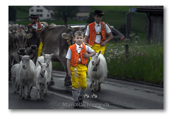 Öberefahre/Alpfahrt Art.-Nr. MS5-0953-Juni