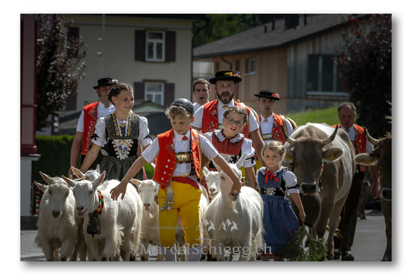 Öberefahre/Alpfahrt Art.-Nr. MS5-9352-August