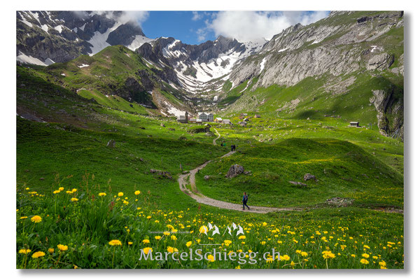 Meglisalp Art.-Nr. MZ7-2458