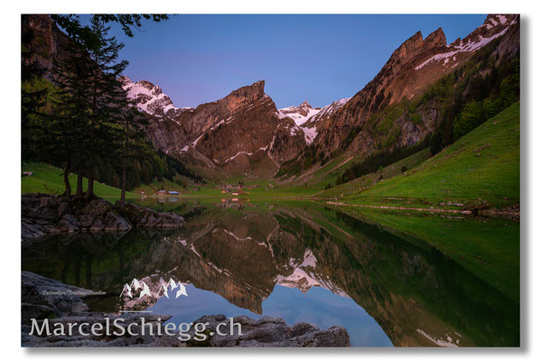 Seealpsee Art.-Nr. MS8-2113