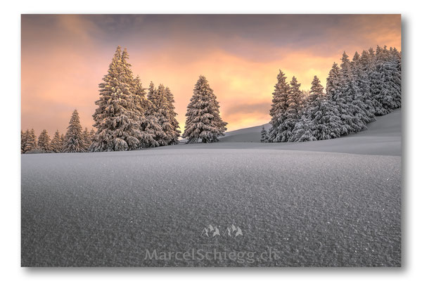 Appenzellerland/Winterimpressionen Art.-Nr. MS5-6770-Januar