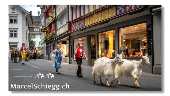 Marcel Schiegg Fotografie, Tradition, Brauchtum, Alpfahrt, Oeberefahre, Appenzell, Appenzellerland, Hauptgasse, Öberefahre