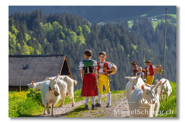 Marcel Schiegg Fotografie, Tradition, Brauchtum, Alpfahrt, Oeberefahre, Appenzell, Appenzellerland, Alpstein, Sämtis