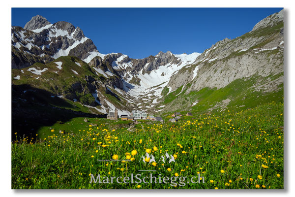 Meglisalp Art.-Nr. MZ7-7853