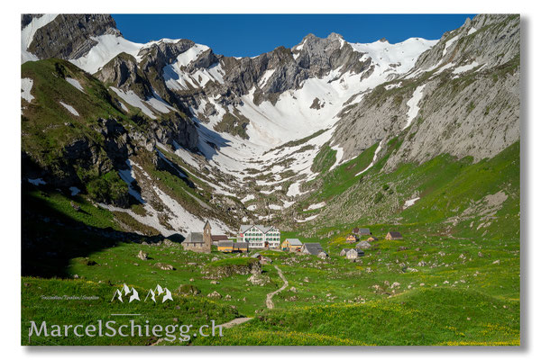 Meglisalp Art.-Nr. MZ7-7833