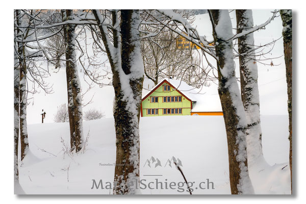 Appenzellerland/Winterimpressionen Art.-Nr. MZ7-3437