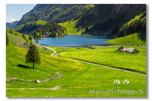 Marcel Schiegg Fotografie, Marcel Schiegg, Seealpsee, Alpstein, Appenzell, Appenzellerland