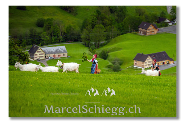Marcel Schiegg Fotografie, Tradition, Brauchtum, Alpfahrt, Oeberefahre, Appenzell, Appenzellerland, Öberefahre, Alpstein