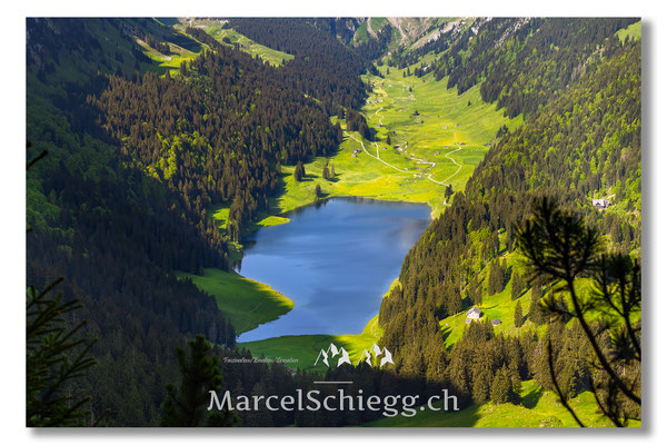 Sämtisersee Art.-Nr. MZ7-6503