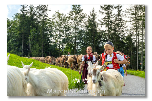 Marcel Schiegg Fotografie, Tradition, Brauchtum, Alpfahrt, Oeberefahre, Appenzell, Appenzellerland, Öberefahre, Alpstein