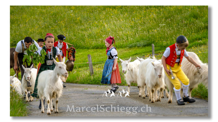 Marcel Schiegg Fotografie, Tradition, Brauchtum, Alpfahrt, Oeberefahre, Appenzell, Appenzellerland, Öberefahre, Alpstein