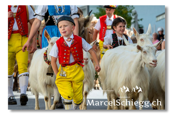 Marcel Schiegg Fotografie, Hauptgasse, Tradition, Brauchtum, Alpfahrt, Oeberefahre, Appenzell