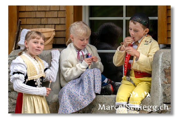 Öberefahre/Alpfahrt Art.-Nr. MZ8-3301/25