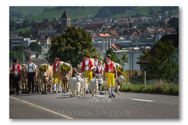 Öberefahre/Alpfahrt Art.-Nr. MS5-9478-August