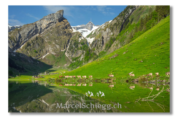 Marcel Schiegg Fotografie, Seealpsee, Alpstein, Tradition, Brauchtum, Alpfahrt, Oeberefahre, Appenzell