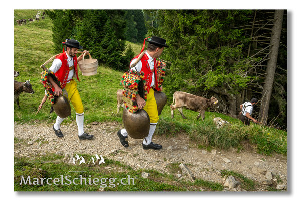 Marcel Schiegg Fotografie, Tradition, Brauchtum, Alpfahrt, Oeberefahre, Appenzell, Appenzellerland, Öberefahre, Alpstein