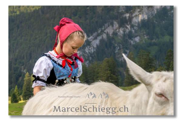Marcel Schiegg Fotografie, Tradition, Brauchtum, Alpfahrt, Oeberefahre, Appenzell, Appenzellerland, Öberefahre, Alpstein