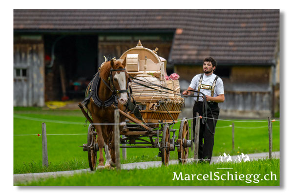 Marcel Schiegg Fotografie, Tradition, Brauchtum, Alpfahrt, Oeberefahre, Appenzell, Appenzellerland, Öberefahre, Lediwagen