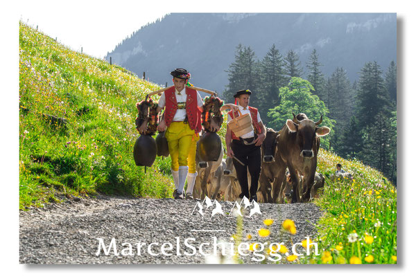 Marcel Schiegg, Tradition, Brauchtum, Alpfahrt, Oeberefahre, Appenzell, Senntum