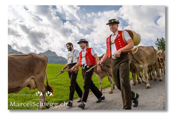 Marcel Schiegg Fotografie, Tradition, Brauchtum, Alpfahrt, Oeberefahre, Appenzell, Appenzellerland, Öberefahre, Alpstein, Hoher Kasten