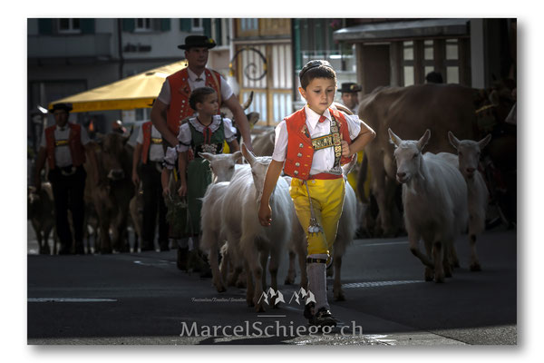 Öberefahre/Alpfahrt Art.-Nr. MS5-9284-August