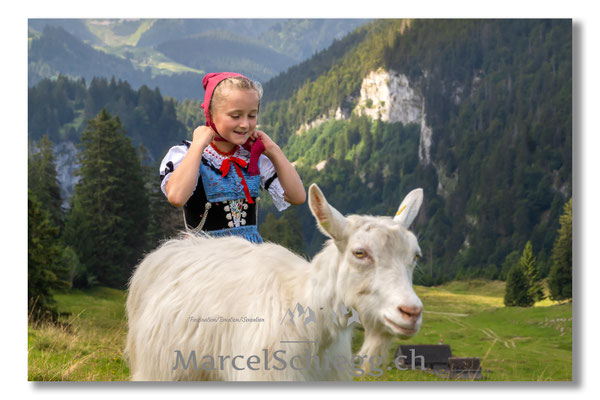 Marcel Schiegg Fotografie, Tradition, Brauchtum, Alpfahrt, Oeberefahre, Appenzell, Appenzellerland, Öberefahre, Alpstein