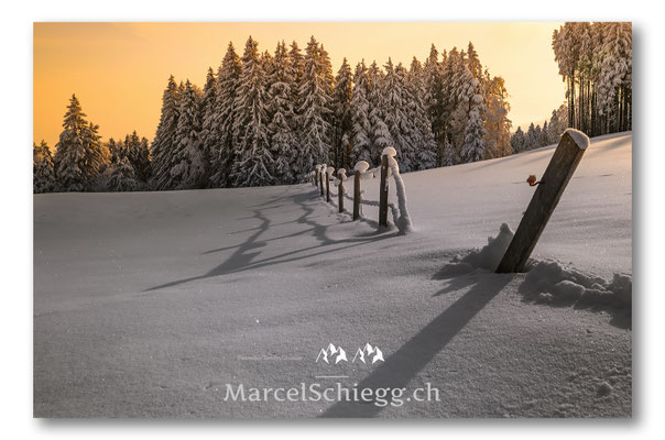 Appenzellerland/Winterimpressionen Art.-Nr. DSC-0069-Februar