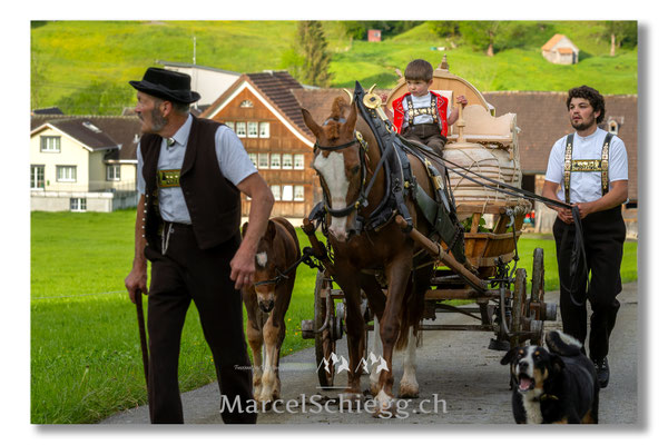 Marcel Schiegg Fotografie, Tradition, Brauchtum, Alpfahrt, Oeberefahre, Appenzell, Appenzellerland, Öberefahre, Lediwagen