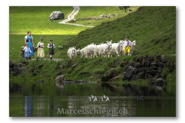 Öberefahre/Alpfahrt Art.-Nr. MS5-7138-September