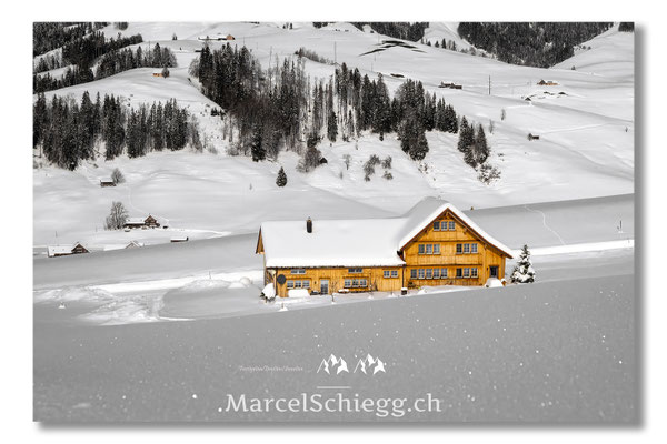 Appenzellerland/Winterimpressionen Art.-Nr. MZ7-5921